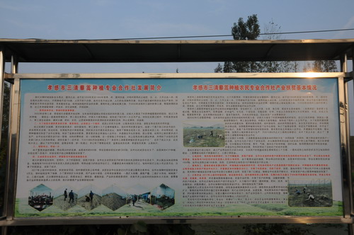 DSC_4959.jpg